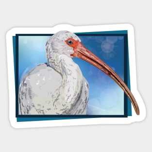 Ibis Sticker